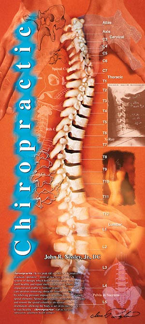 Chiropractic Poster ©