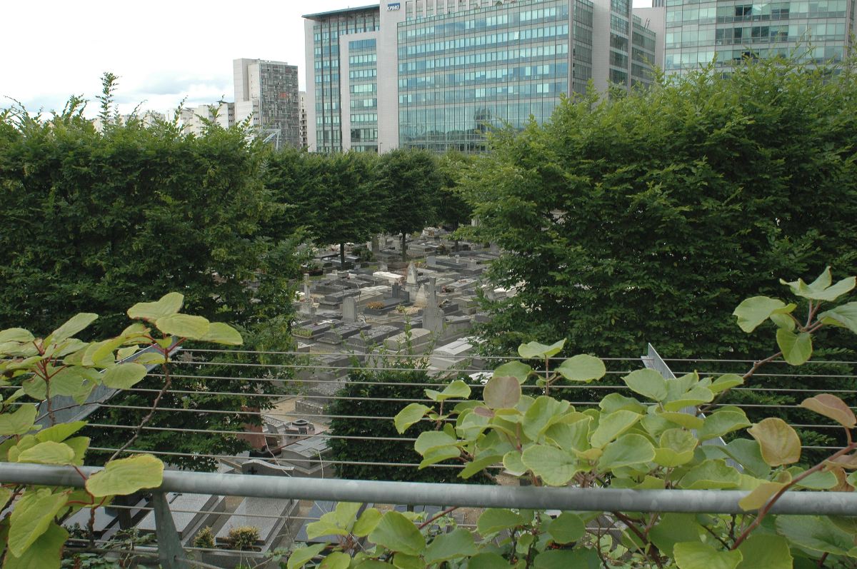 2011-06-13_0659.jpg