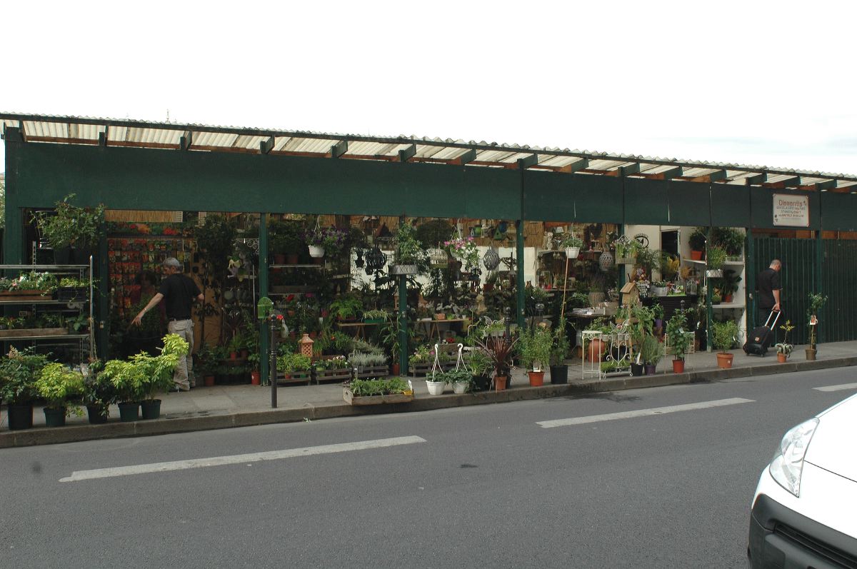 2011-06-14_0754.jpg