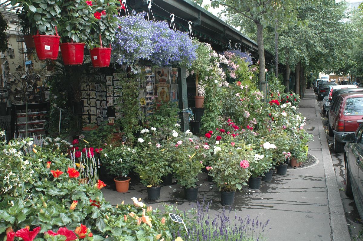 2011-06-14_0755.jpg