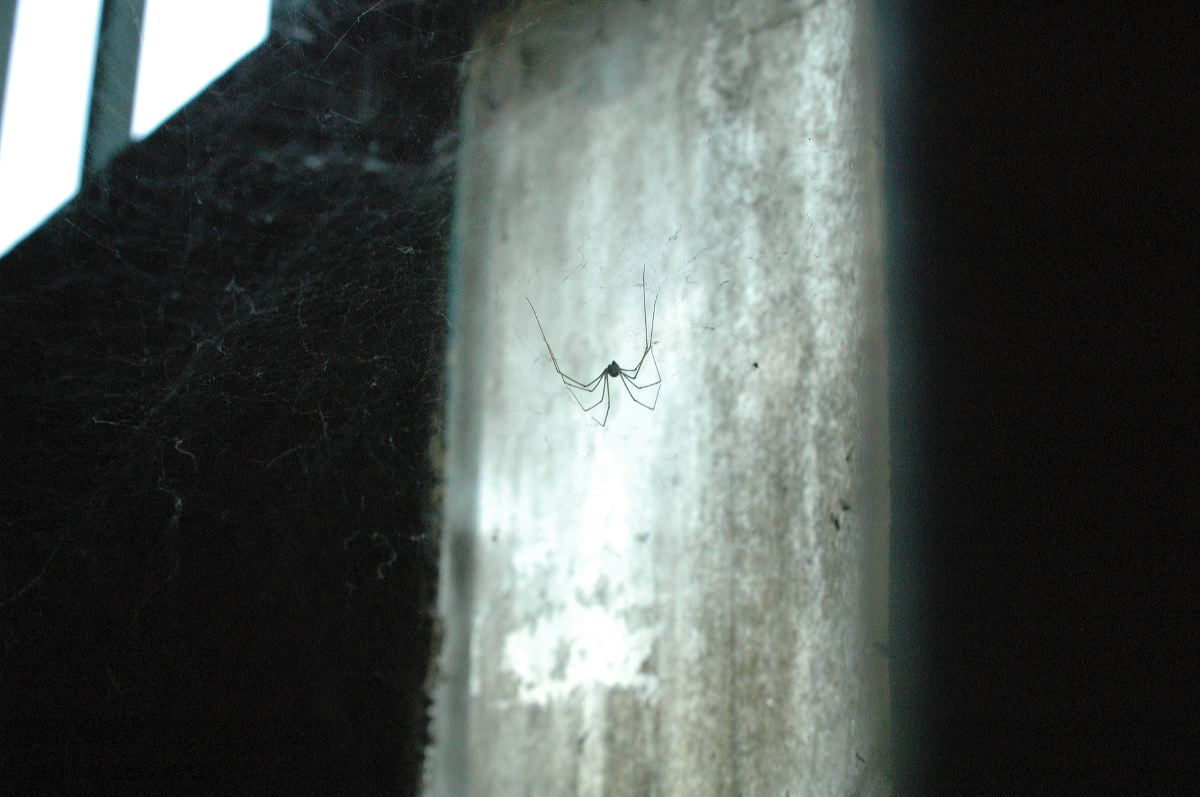 2011-06-16_0813.jpg