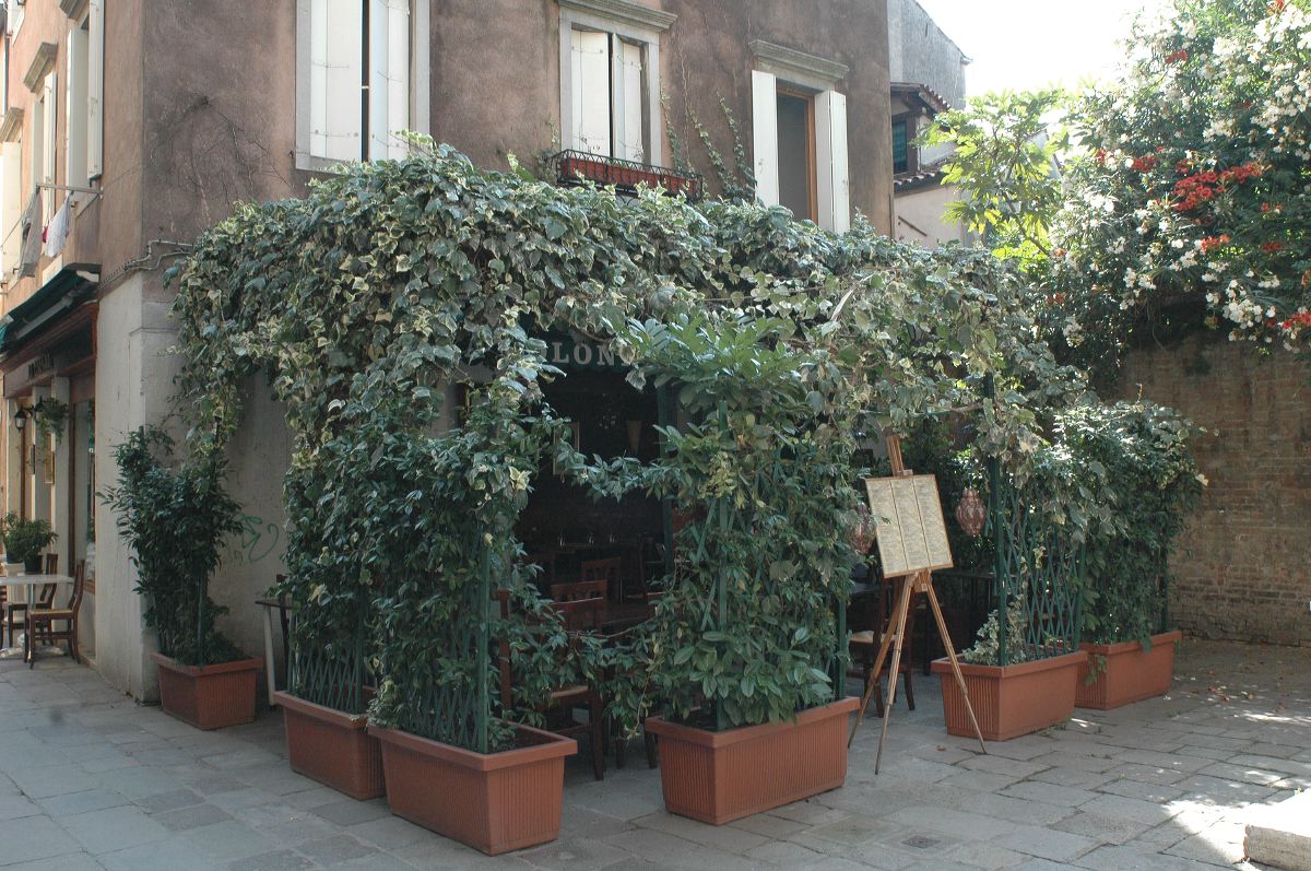 2011-06-16_0844.jpg