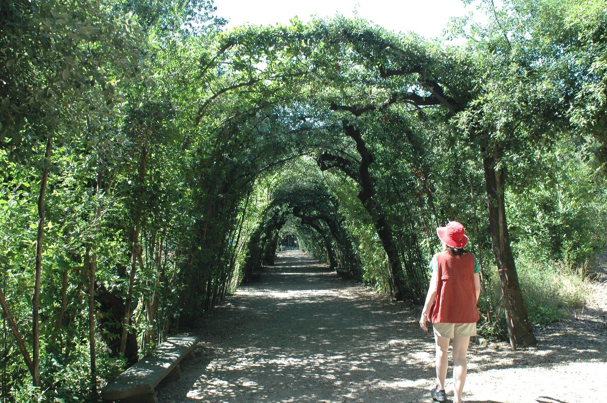 2011-06-19_1100.jpg