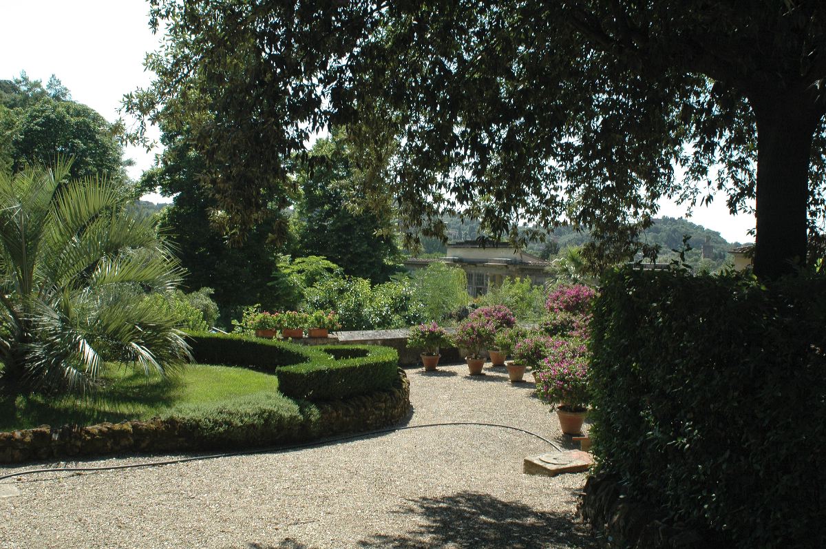 2011-06-19_1101.jpg