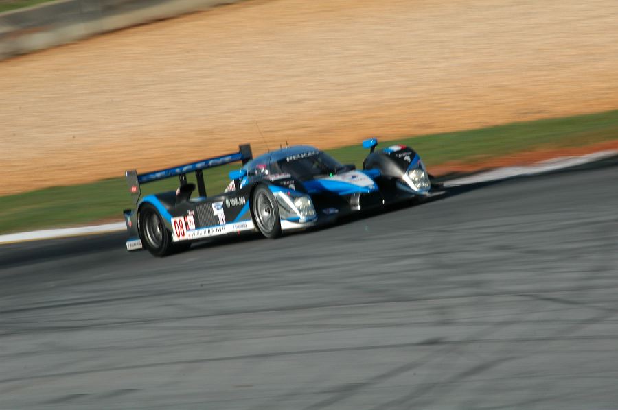 dsc_2016.jpg
