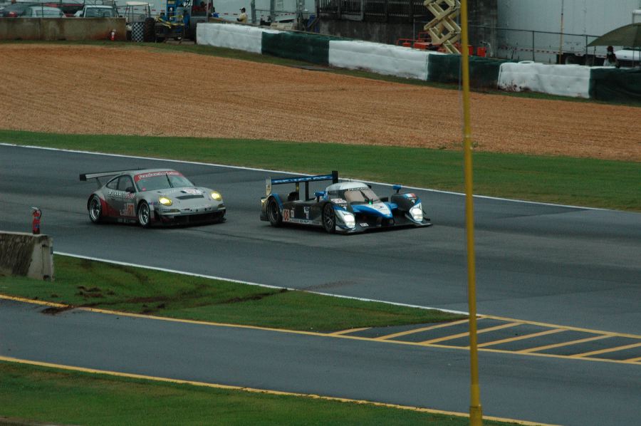 dsc_2303.jpg