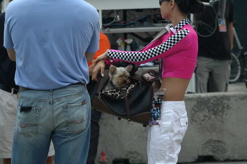 dsc_4606.jpg